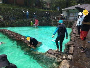 きれいな水